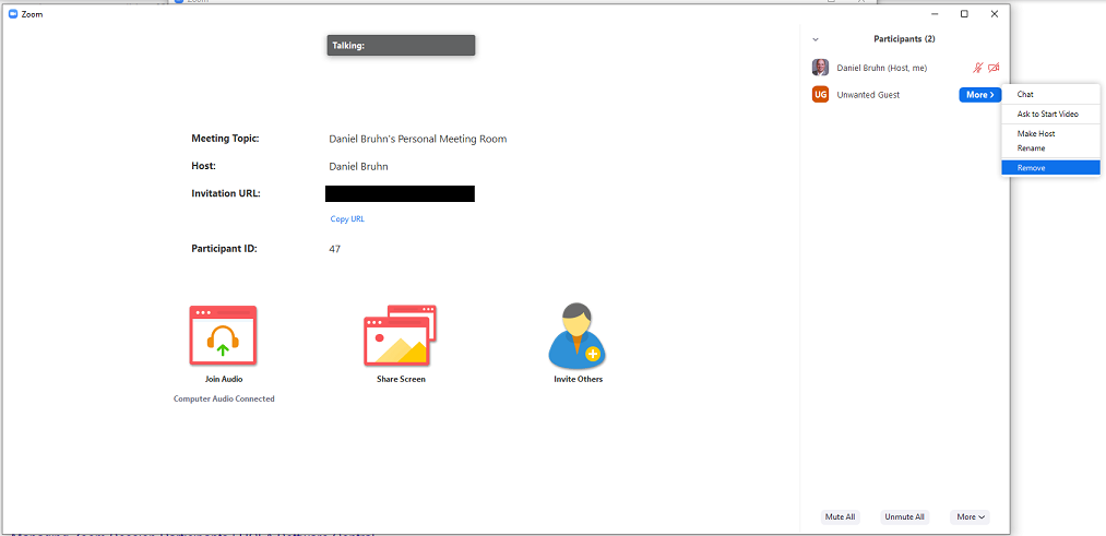 Screen grab of Zoom interface; select "remove" after selecting "more" when selecting a participant.